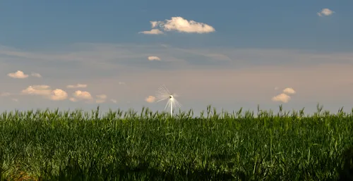 Spinning wind turbine crops This is a landscape photograph taken during the early afternoon in spring, showcasing a rural agricultural setting. The image prominently features spinning wind turbines located amid green fields, which are typical of the region's agricultural activity. The sky is mostly clear with a few scattered clouds, enhancing the overall atmosphere of the rural fields. The photograph emphasizes renewable energy in agriculture, with wind turbines standing out as a significant element in the landscape.